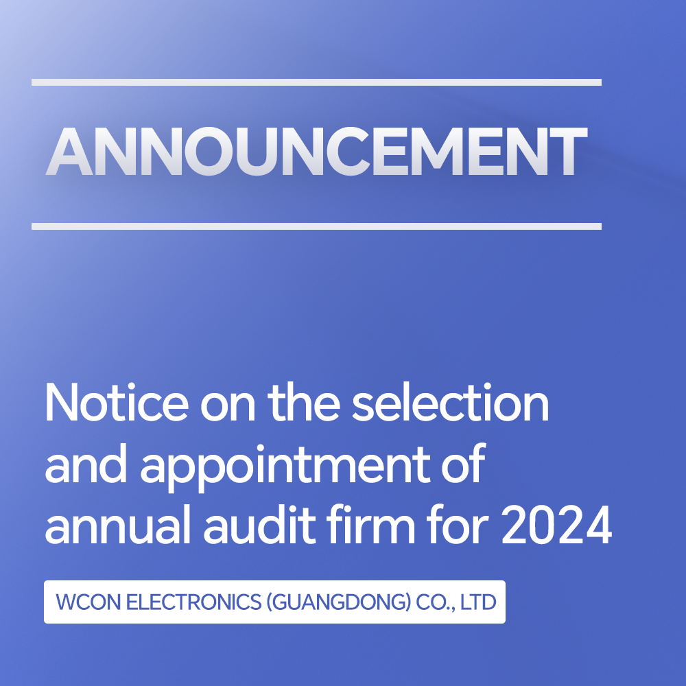 关于遴选及聘任2024年度审计师事务所的通知